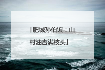肥城孙伯镇：山村油杏满枝头